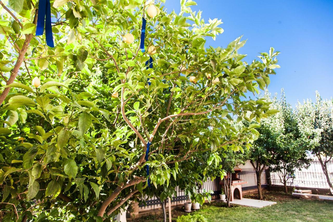 Garden House Near The Sea Apartment Kavala Exterior foto